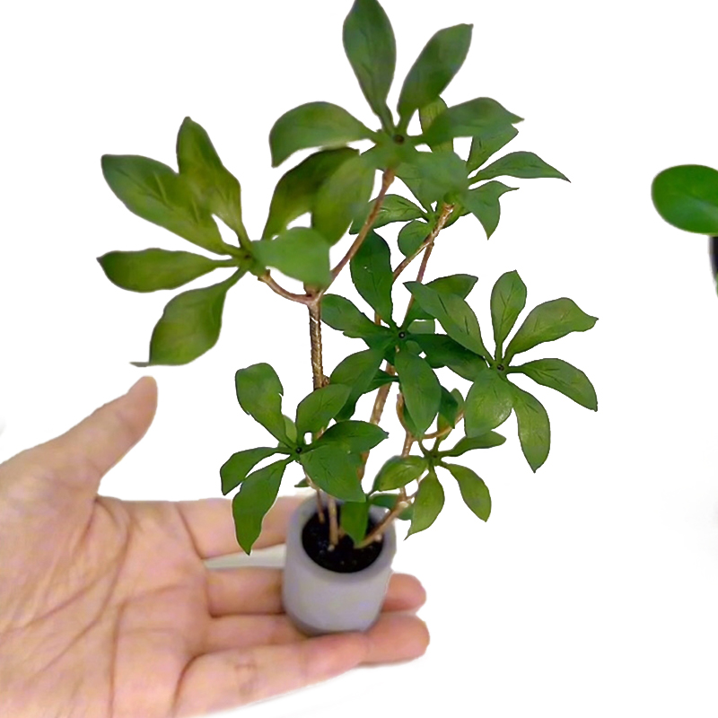 Bonsai Garden Accessories - 1:6 Poppenhuis Miniatuur Potplanten Model Groenbladige