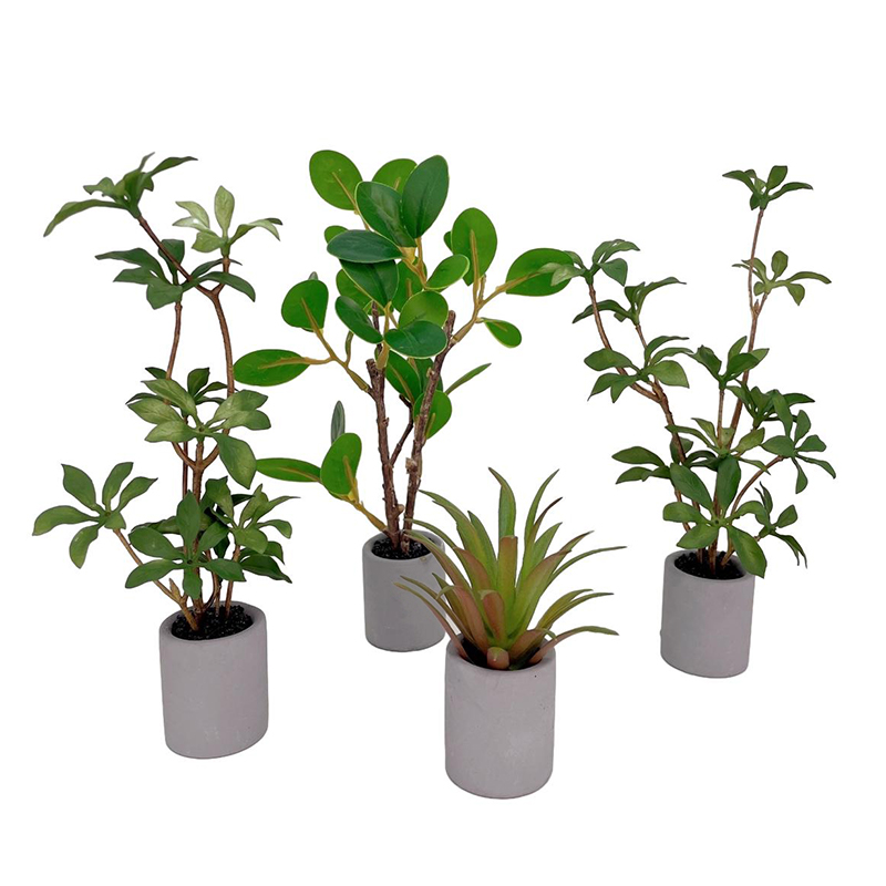 Bonsai Garden Accessories - 1:6 Dollhouse Miniatuur Potplant Groenbladige Plant