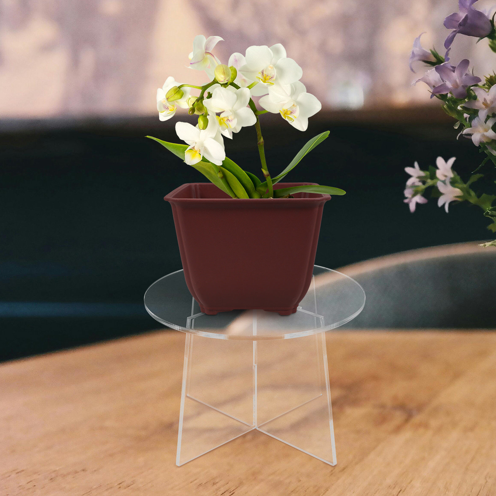 Bonsai Garden Display Stands - Acryl plantenstandaard voor succulenten en kleine