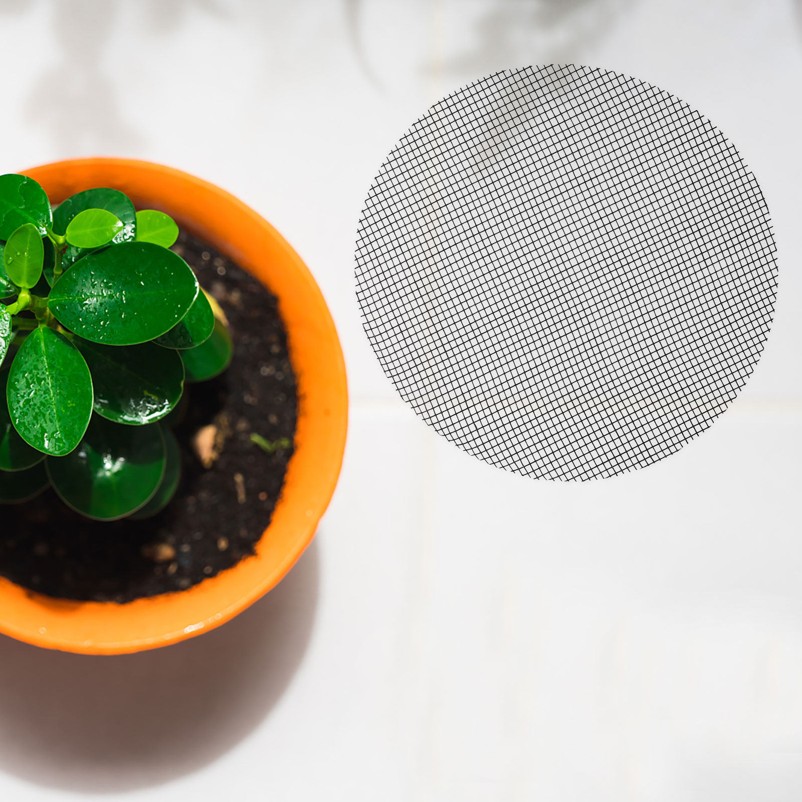 50 stuks bloempot gatenmatten  - Bonsai Gardener recensie en prijs