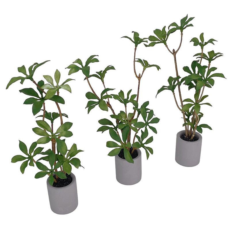 1:6 Dollhouse Miniatuur Potpla - Bonsai Garden Accessories recensie en prijs