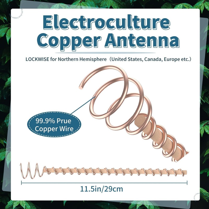Bonsai koperen elektrocultuur  - Bonsai Garden Accessories recensie en prijs