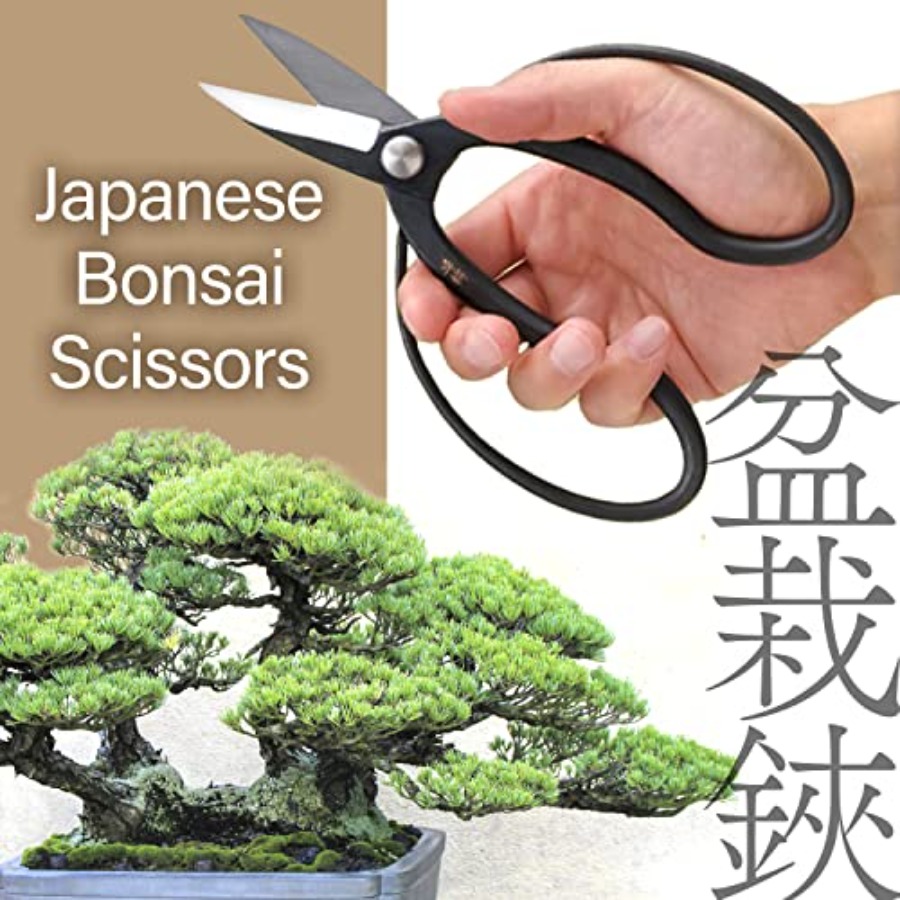 Japanse Suiryu Bonsai-schaar - - Bonsai Garden Japan recensie en prijs