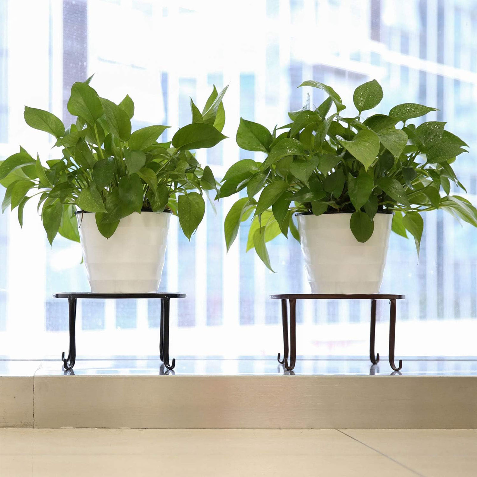 1Pc Metalen Plant Stand Bloemp - Bonsai Garden Display Stands recensie en prijs