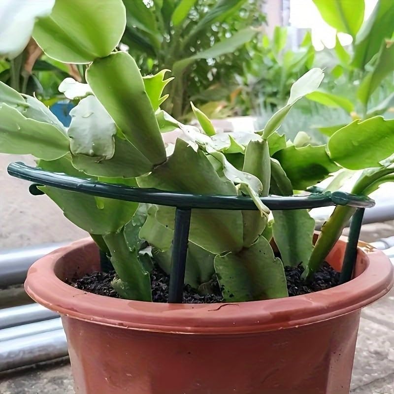 30-1PCS Plastic Plant Onderste - Bonsai Garden Accessories recensie en prijs