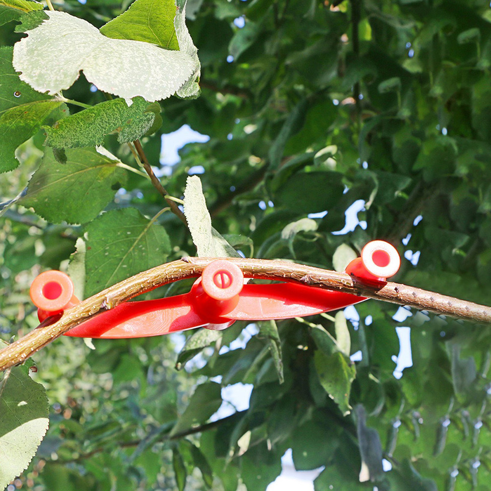 10 stuks flexibele plantenbuig - Bonsai Gardener recensie en prijs