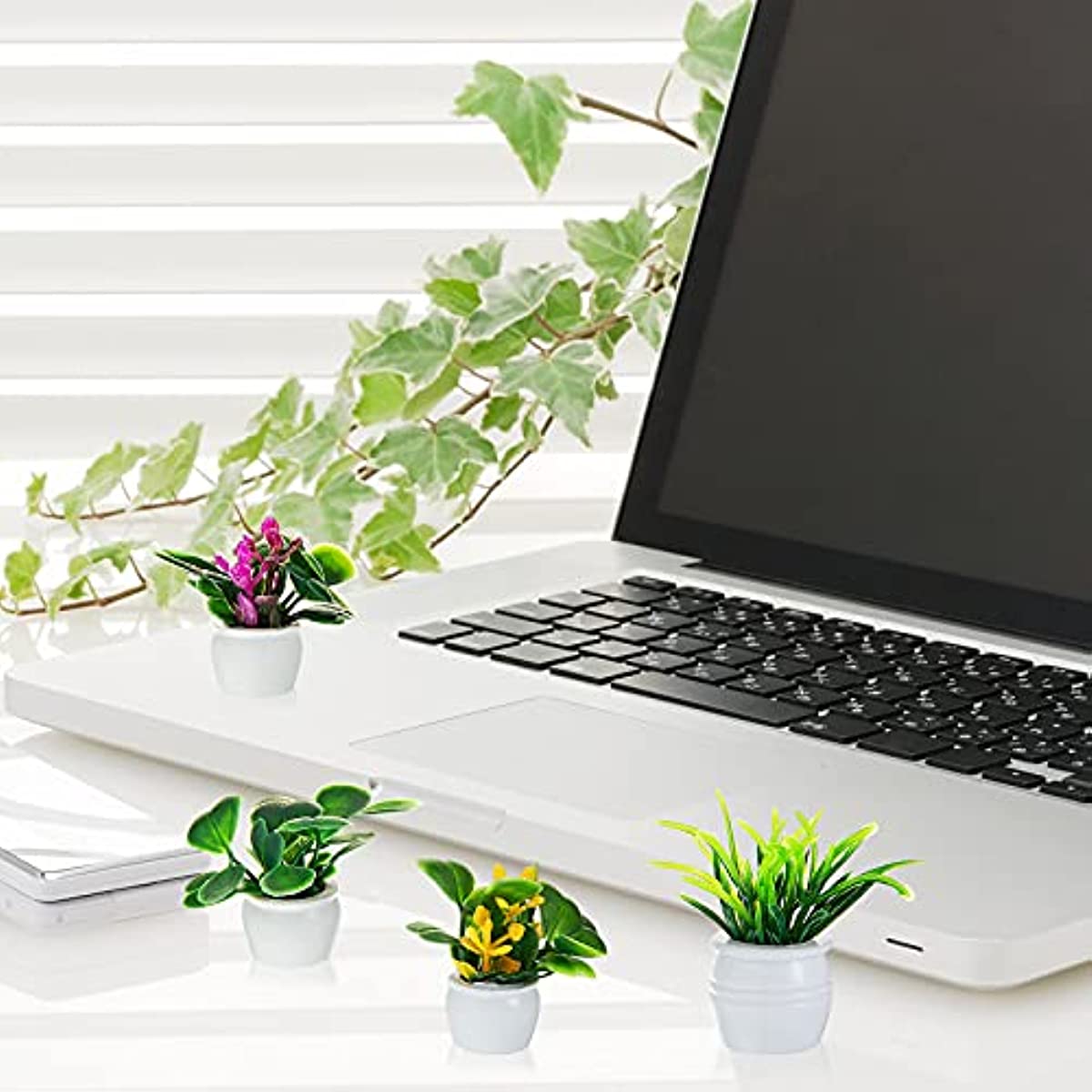 Poppenhuisplant, miniatuur bon - Bonsai Garden Accessories recensie en prijs