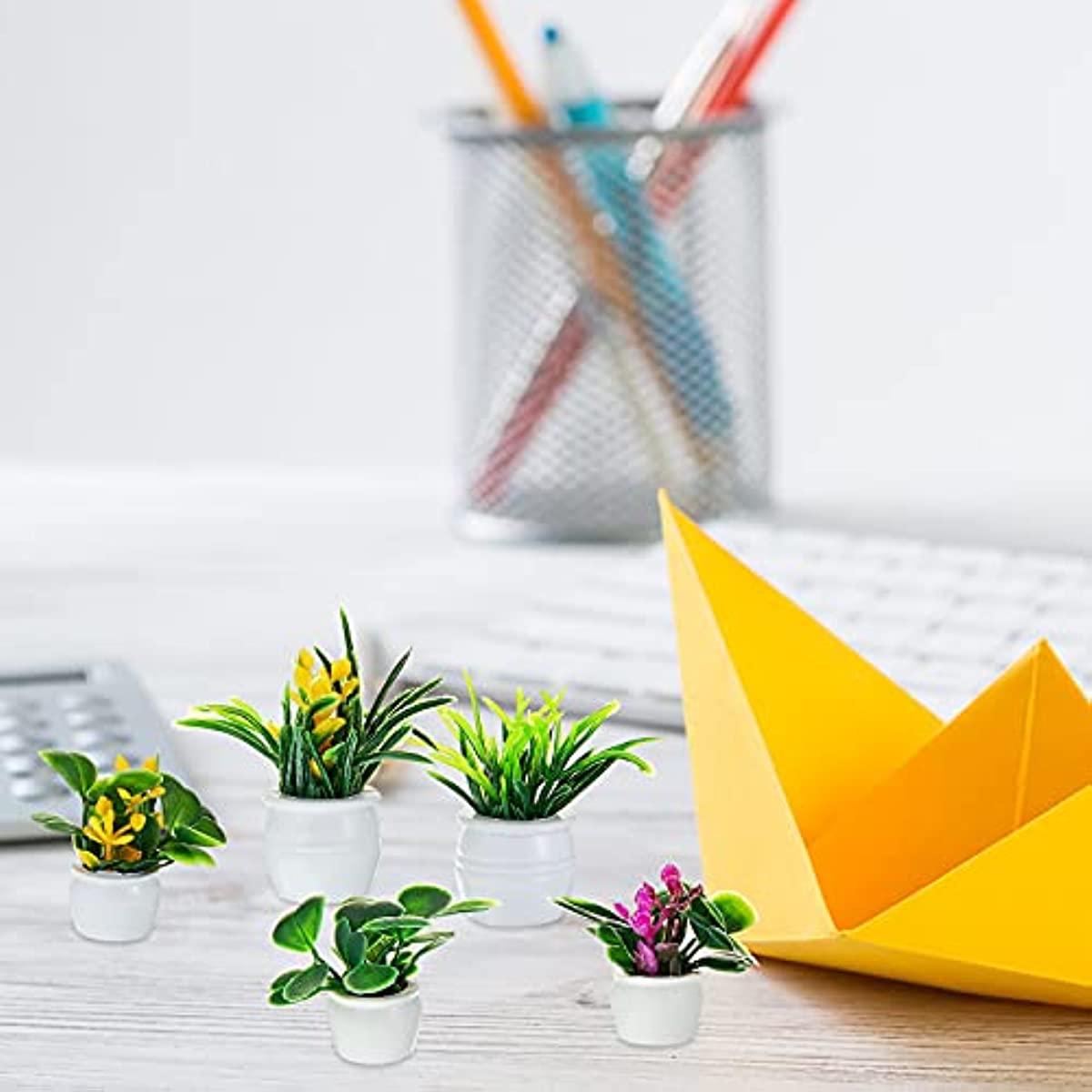 Poppenhuisplant, miniatuur bon - Bonsai Garden Accessories recensie en prijs