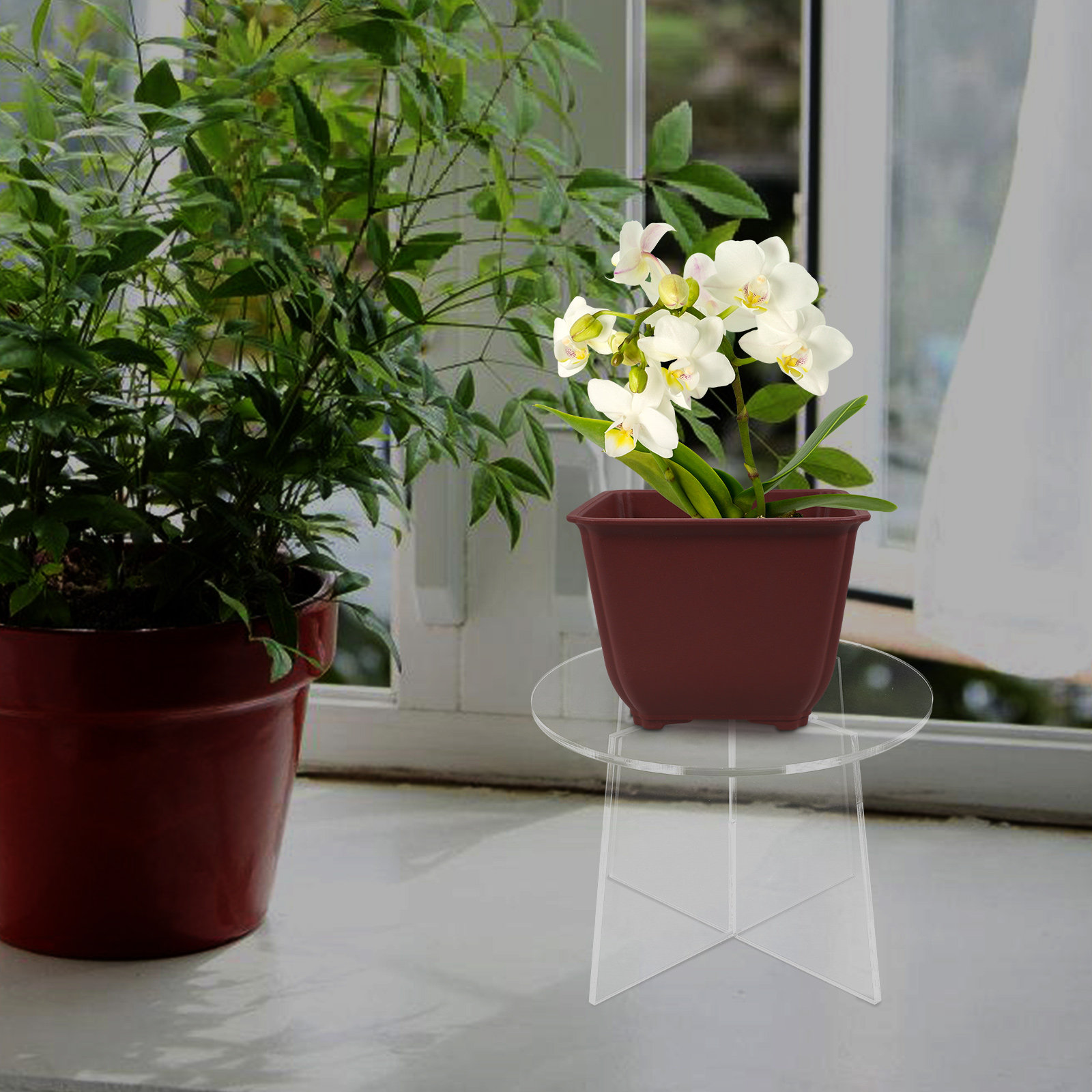Acryl plantenstandaard voor su - Bonsai Garden Display Stands recensie en prijs