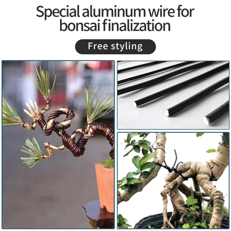 5 m Bonsai Draad plant onderst - Bonsai Garden Accessories recensie en prijs